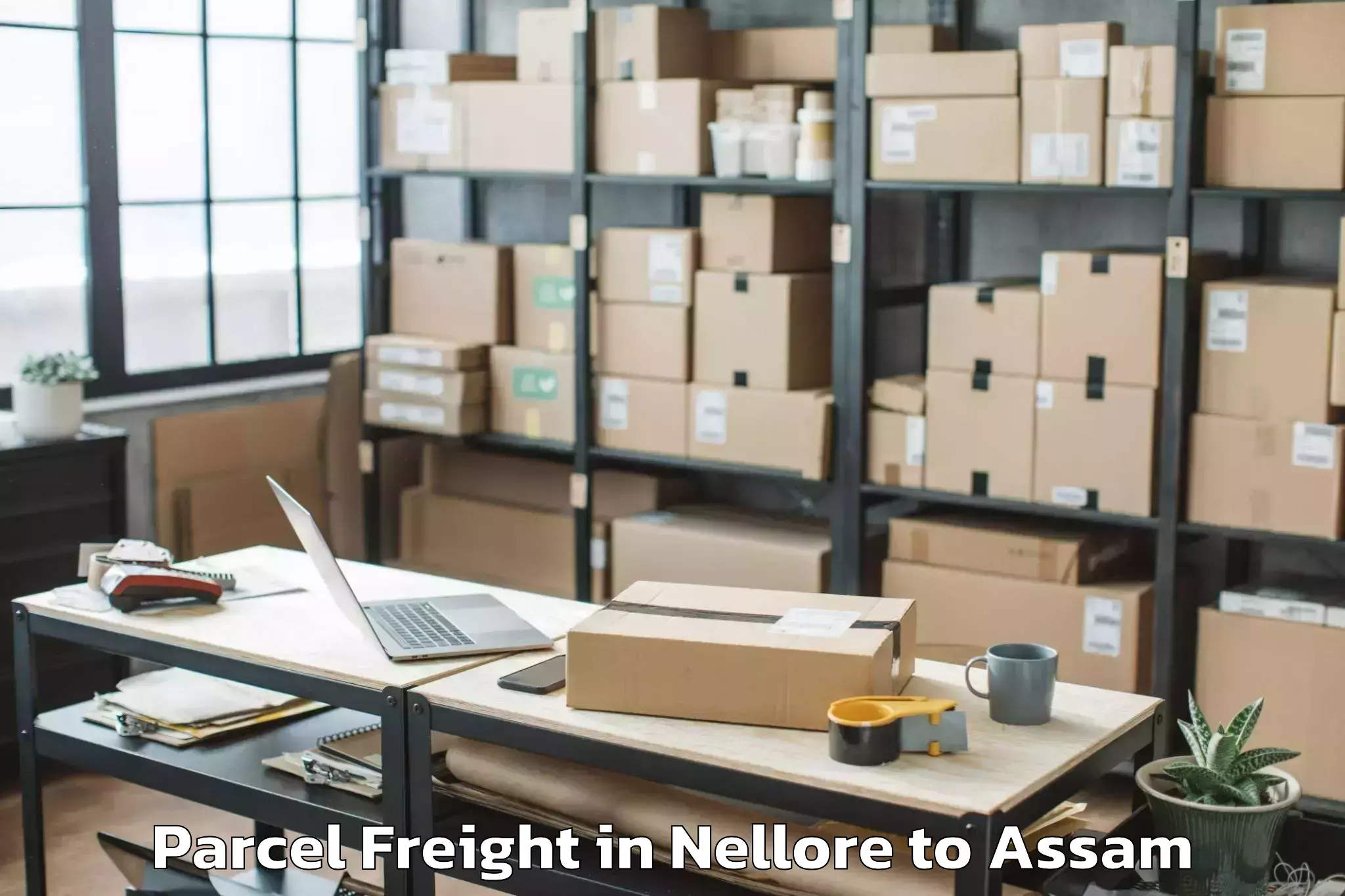 Book Nellore to Nalbari Parcel Freight